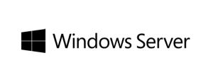 S26361-F2567-L669 FUJITSU Windows Server 2019 Lizenz 100 User-CALs OEM ROK