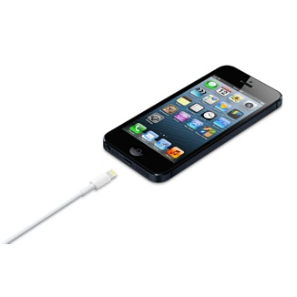 Lightning to USB cable (0.5 m) thumbnail