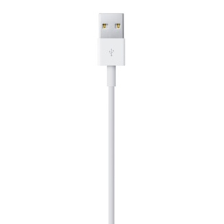 Lightning to USB cable (0.5 m) thumbnail