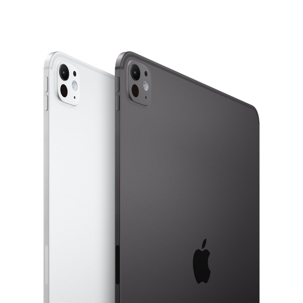 IPAD PRO 11 WF CL 1TB NT M14 thumbnail