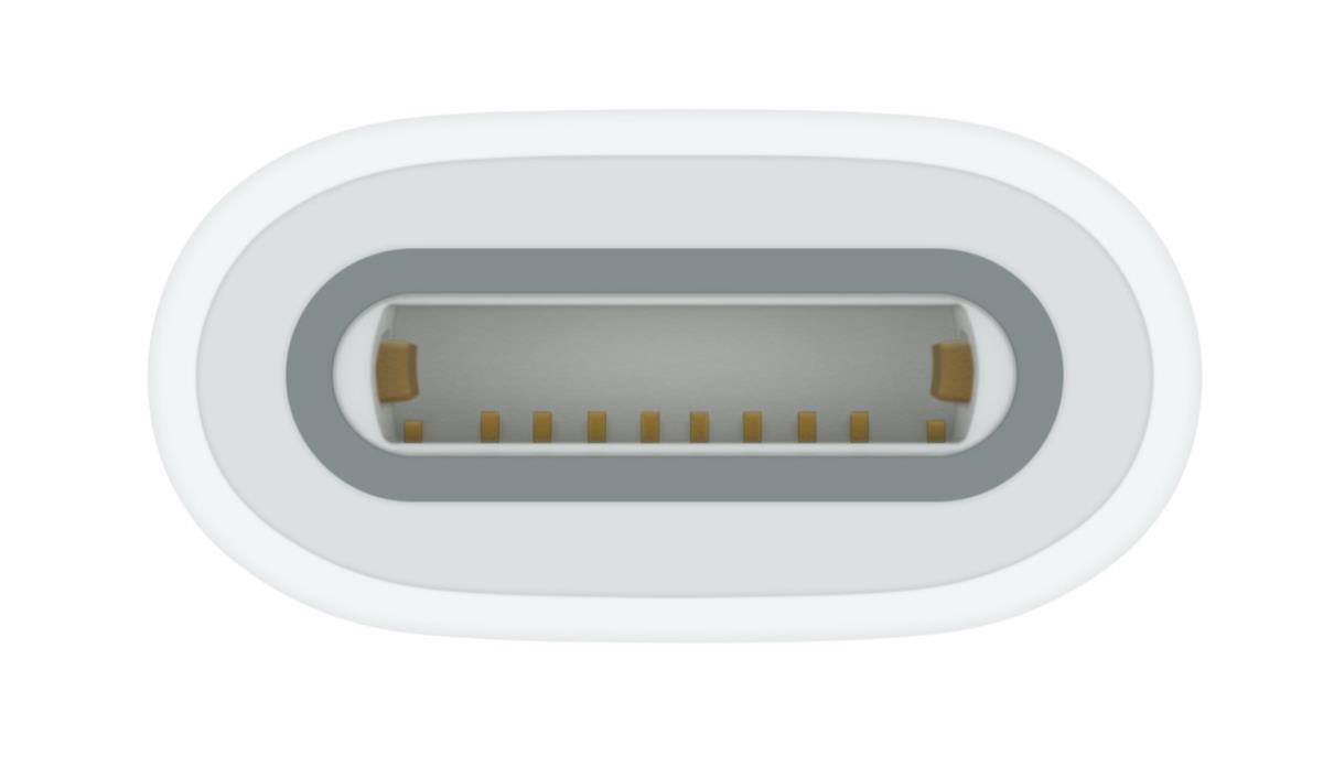 USB-C TO APPLE PENCIL ADAPTER thumbnail