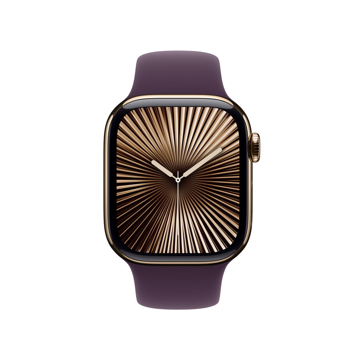 WATCH 42 PLUM SB S/M-ZML thumbnail