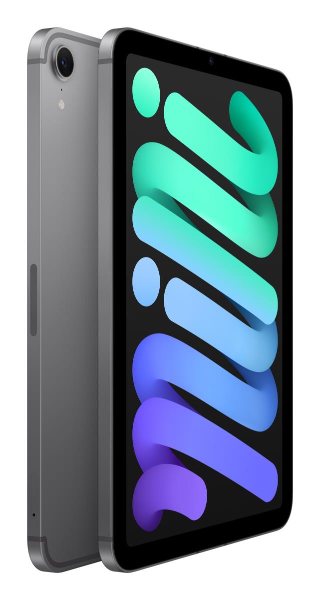 IPAD MINI WI-FI CL 256GB SPACE GRAY -BNL thumbnail