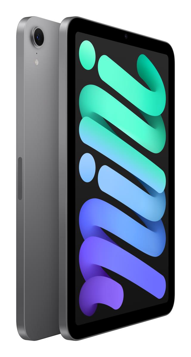 IPAD MINI WI-FI 128GB SPACE GRAY-BNL thumbnail