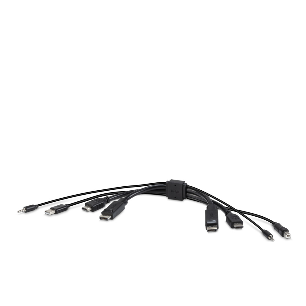 TAA Dual Head HDMI/DP to DP and HDMI Combo Cable 0.3m thumbnail