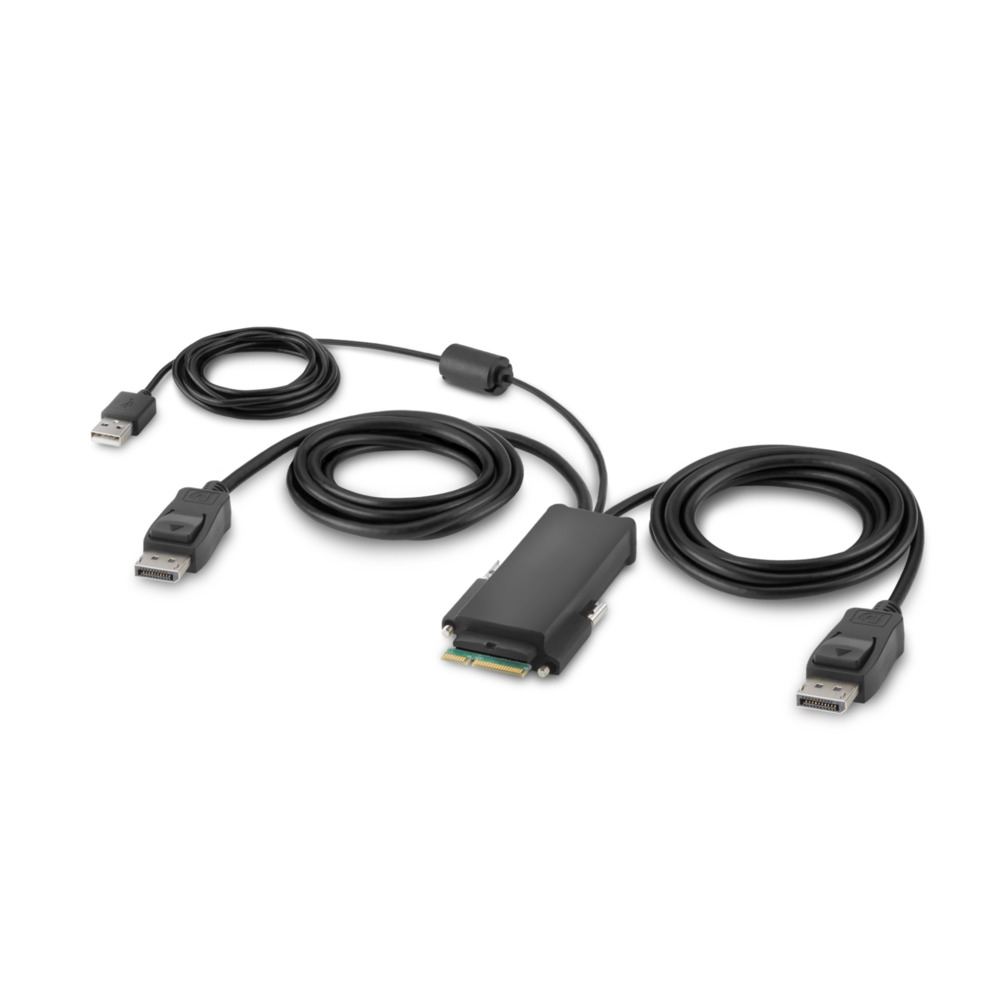2-Port Dual Head DP Modular Secure KVM Switch PP4.0 W/Remote - cables incl. thumbnail