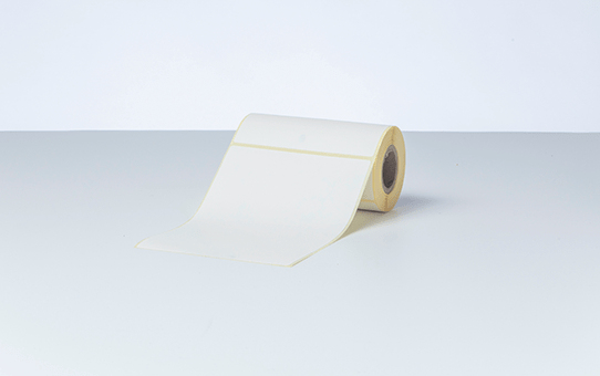 THERMAL DIE-CUT PAPER 102 X152 P20 thumbnail