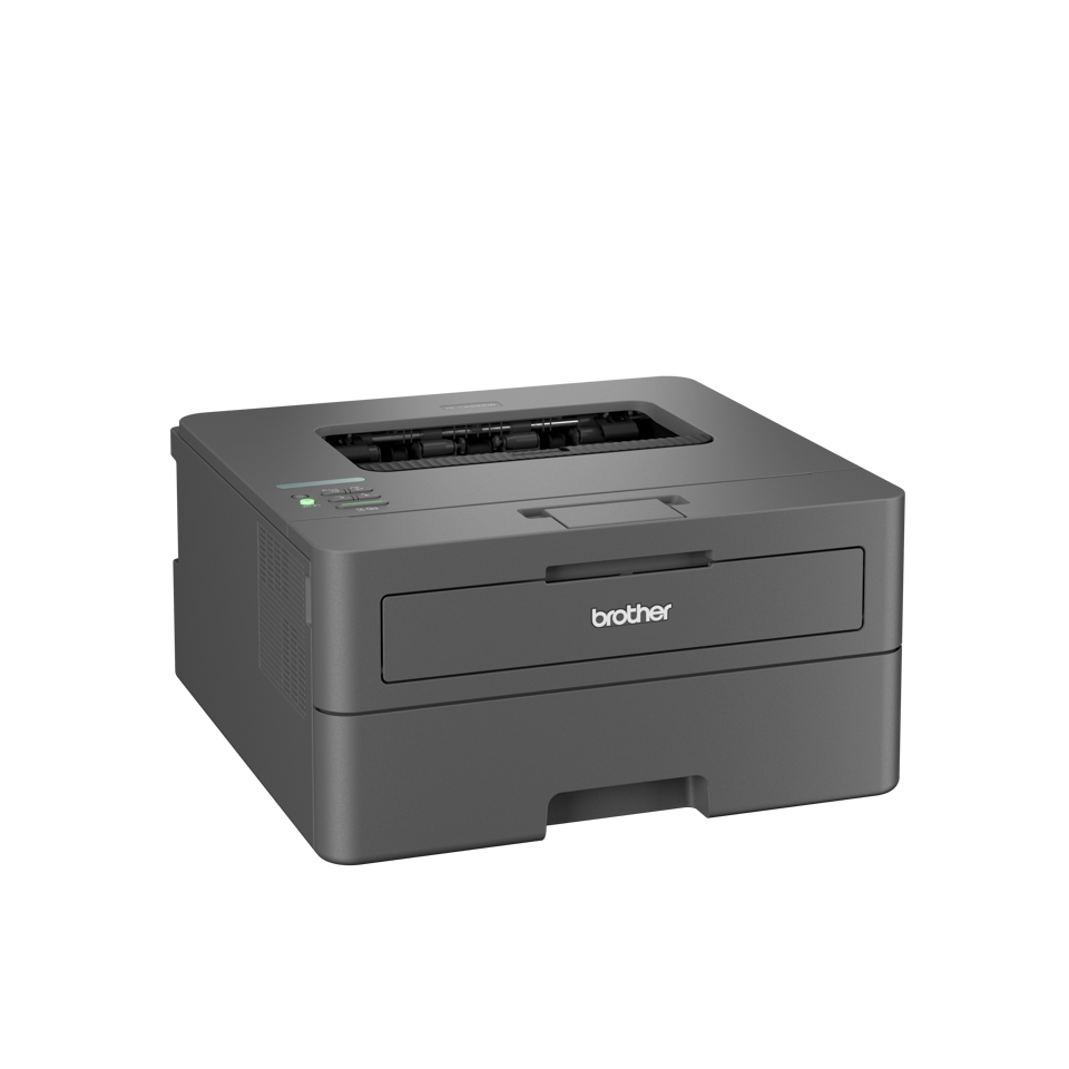 HLL2400DW MONO LASER PRINTER thumbnail