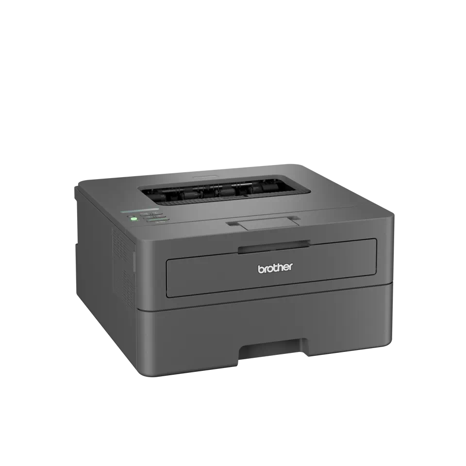 EU Product - Hl-L2445Dw 1200 X 1200 Dpi 4 thumbnail
