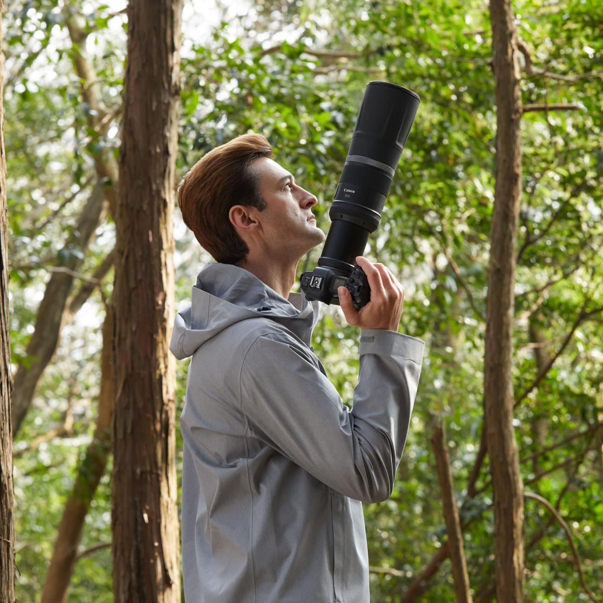 RF 800mm F11 IS STM Lens thumbnail