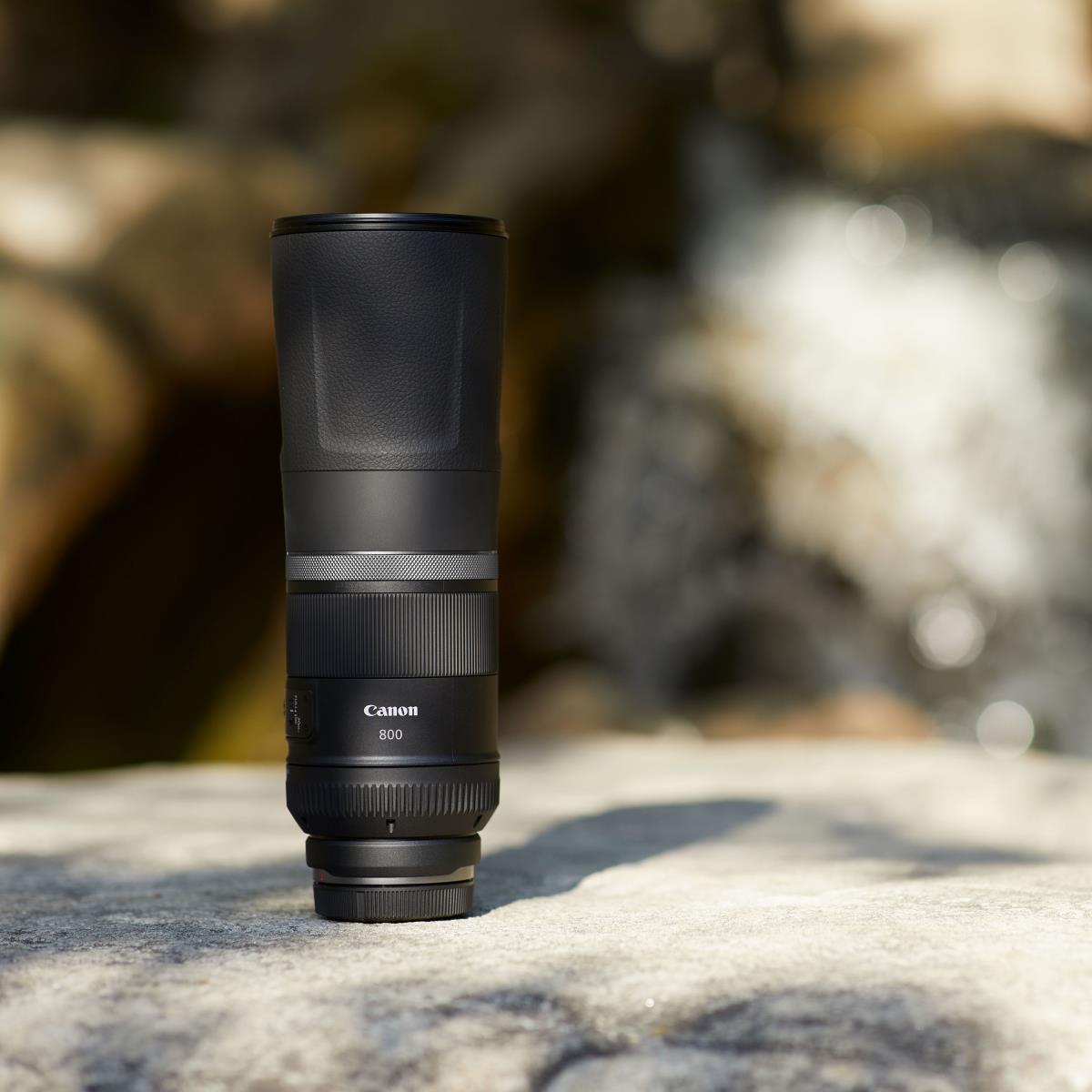 RF 800mm F11 IS STM Lens thumbnail