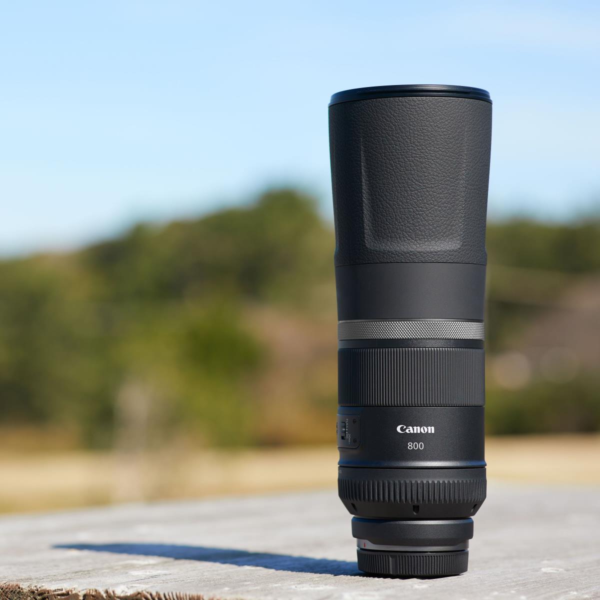 RF 800mm F11 IS STM Lens thumbnail
