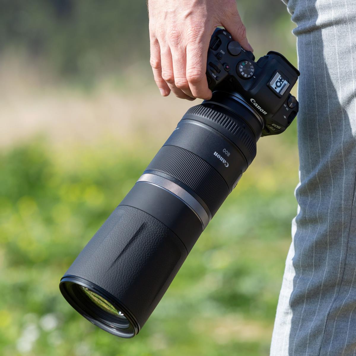RF 800mm F11 IS STM Lens thumbnail