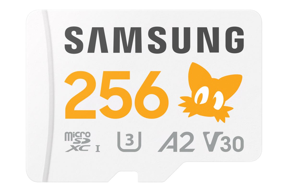 PRO Plus MB-MD256SA - Sonic the Hedgehog flash memory card (microSDXC to SD adapter included) - 256 GB - A2 / Video Class V30 / UHS-I U3 - microSDXC UHS-I - white thumbnail