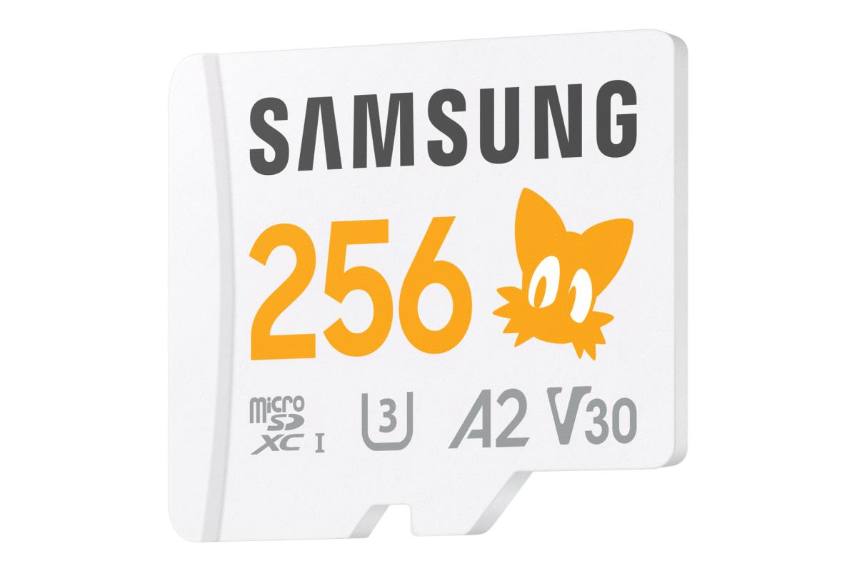 PRO Plus MB-MD256SA - Sonic the Hedgehog flash memory card (microSDXC to SD adapter included) - 256 GB - A2 / Video Class V30 / UHS-I U3 - microSDXC UHS-I - white thumbnail