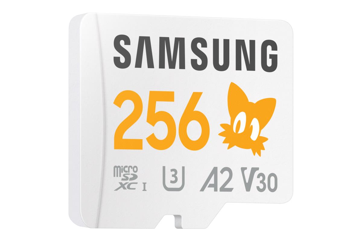 PRO Plus MB-MD256SA - Sonic the Hedgehog flash memory card (microSDXC to SD adapter included) - 256 GB - A2 / Video Class V30 / UHS-I U3 - microSDXC UHS-I - white thumbnail