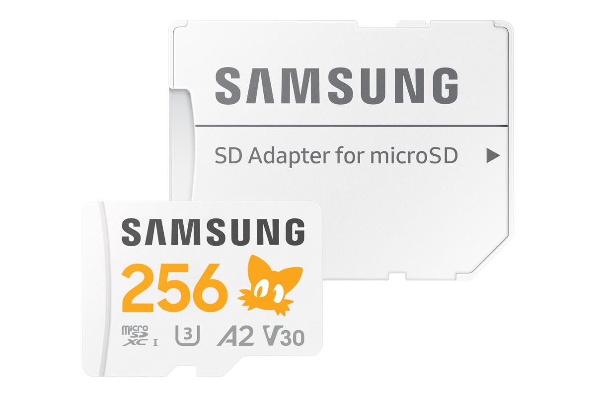 PRO Plus MB-MD256SA - Sonic the Hedgehog flash memory card (microSDXC to SD adapter included) - 256 GB - A2 / Video Class V30 / UHS-I U3 - microSDXC UHS-I - white thumbnail