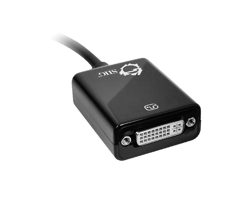 DisplayPort 2 DVI Adapter CB-DP0072-S1 thumbnail