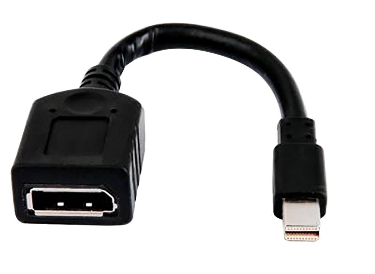 EU Product - Single miniDP-to-DP Adapter Cable - Adapter - Digital/Display/Video thumbnail