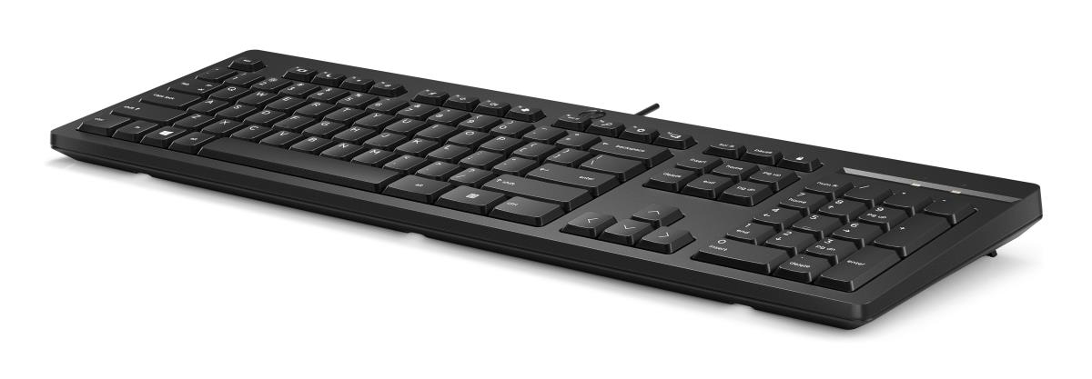 EU Product - 125 Wired Keyord (EN) thumbnail