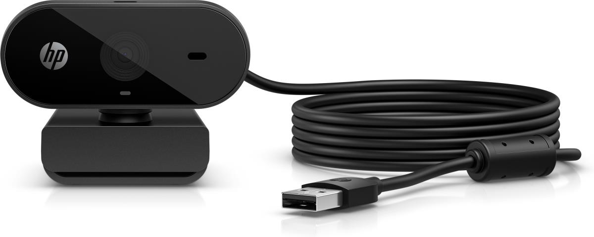 325 - Webcam - pan - colour - 1920 x 1080 - audio - USB 2.0 thumbnail