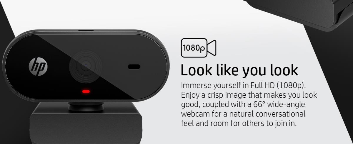 325 - Webcam - pan - colour - 1920 x 1080 - audio - USB 2.0 thumbnail