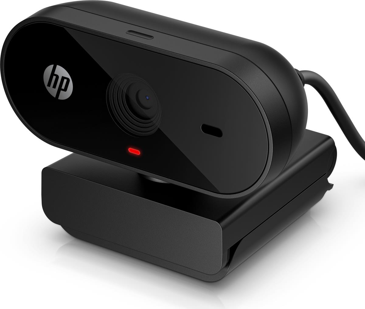 325 - Webcam - pan - colour - 1920 x 1080 - audio - USB 2.0 thumbnail