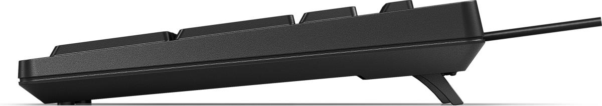 EU Product - 125 G2 USB Wired Keyboard (Bulk Qty.12) EMEA - INTL English Loc Euro plug thumbnail