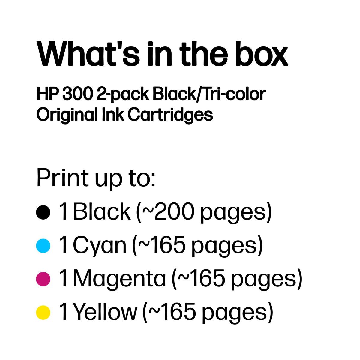 HP 300 INK CARTRIDGE COMBO 2 PACK thumbnail