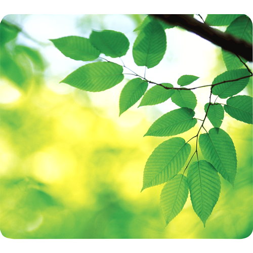 59038 Recycled Mouse Pad Leaves 6 pack thumbnail