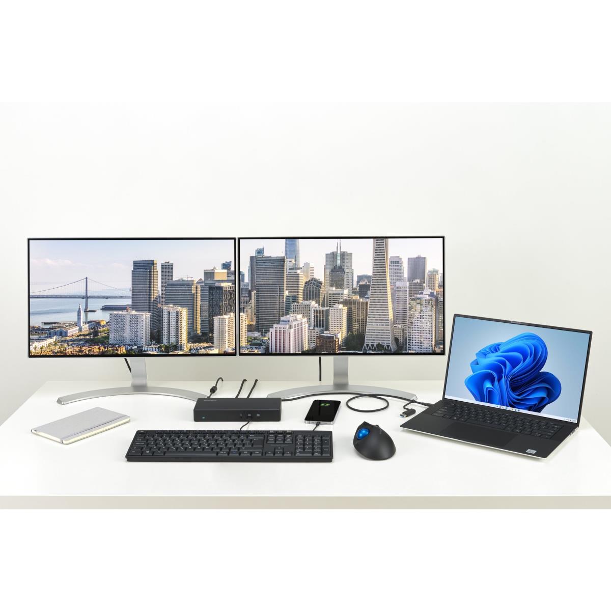SD4781P USB-C & USB-A thumbnail