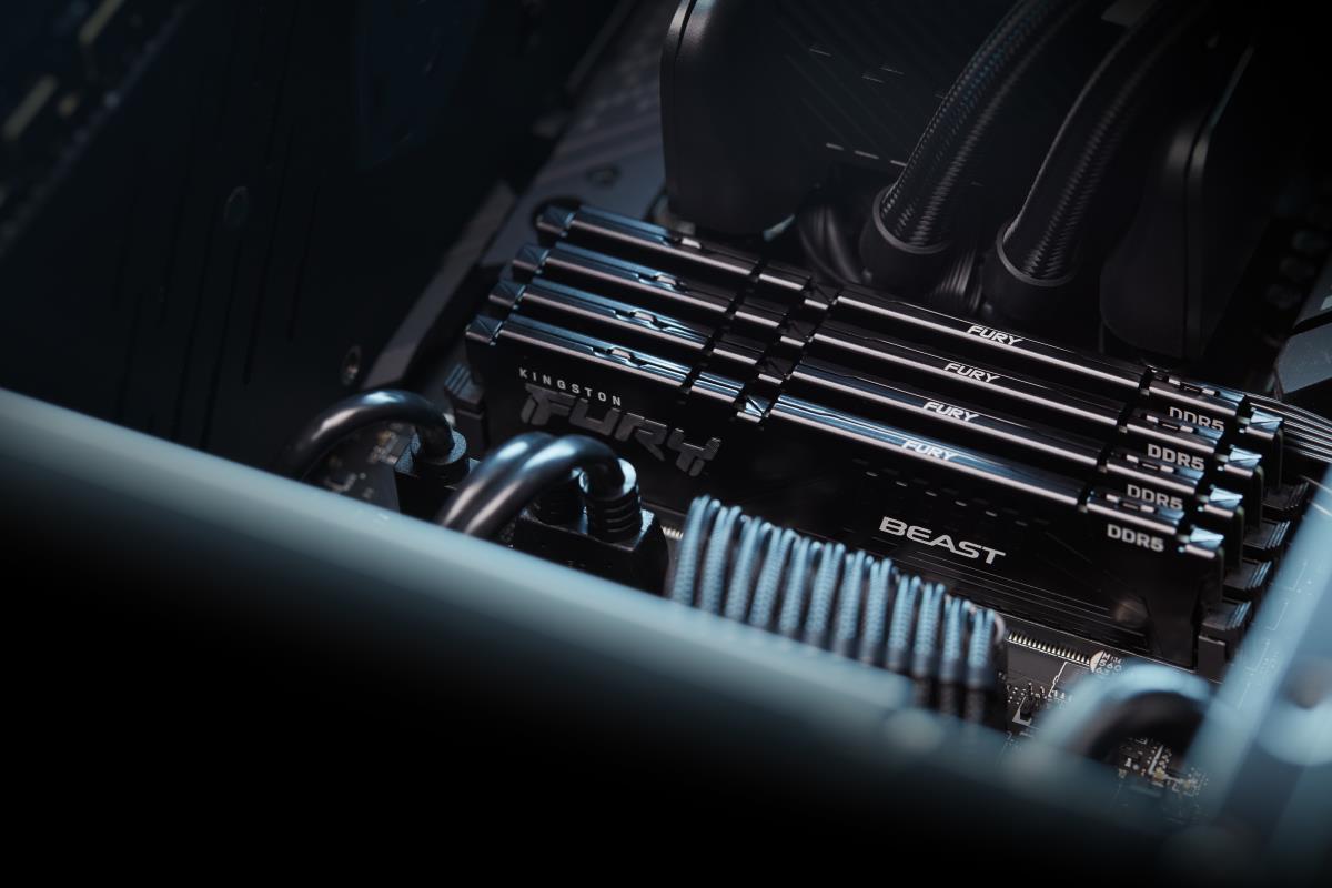 FURY BEAST 32GB DDR5 5600 thumbnail
