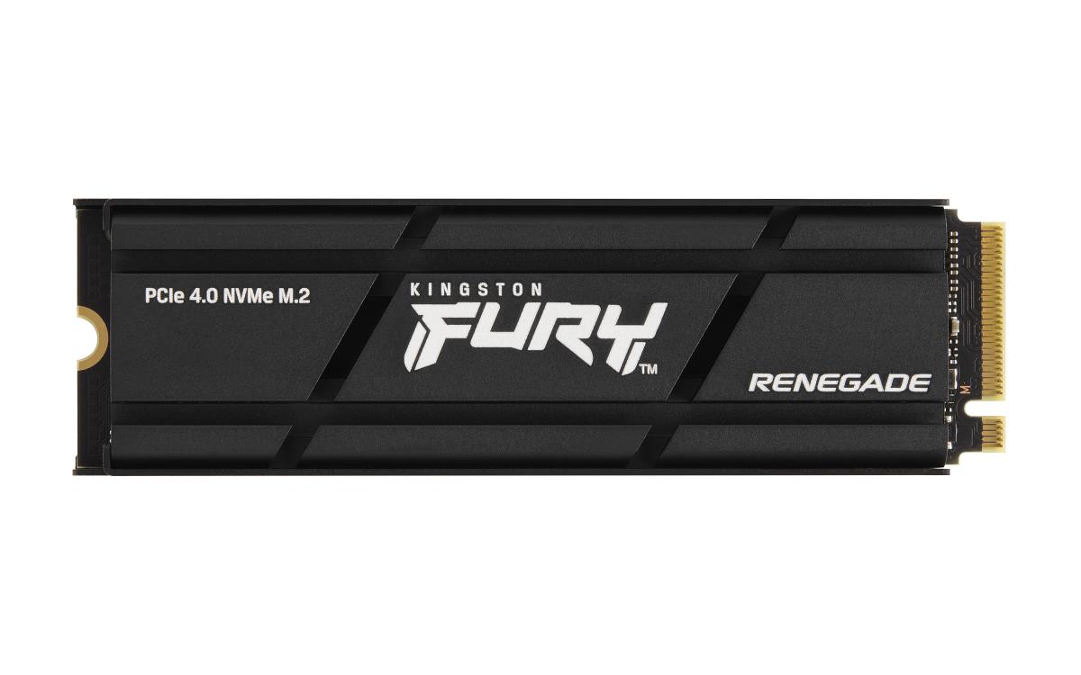FURY RENEGADE SFYRSK/1000G - SSD - 1 TB thumbnail