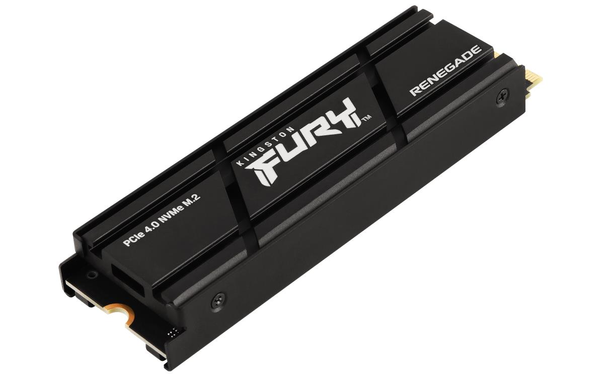 FURY RENEGADE SFYRSK/1000G - SSD - 1 TB thumbnail