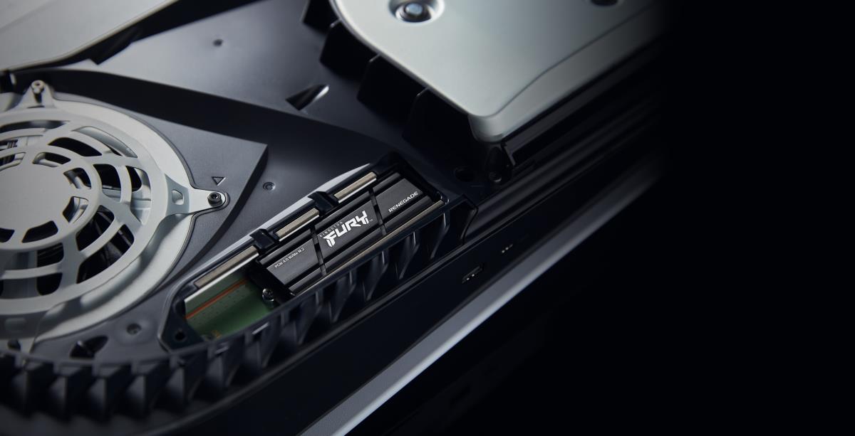 FURY RENEGADE SFYRSK/1000G - SSD - 1 TB thumbnail