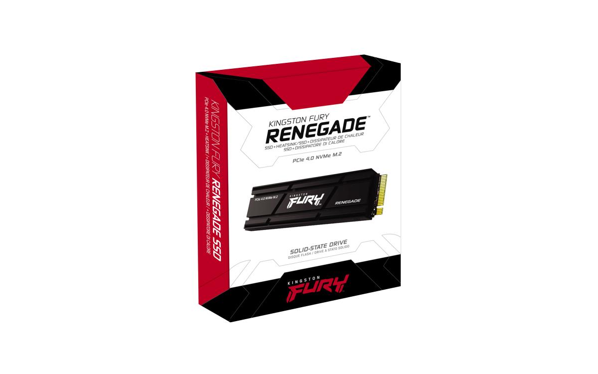 FURY RENEGADE SFYRSK/1000G - SSD - 1 TB thumbnail