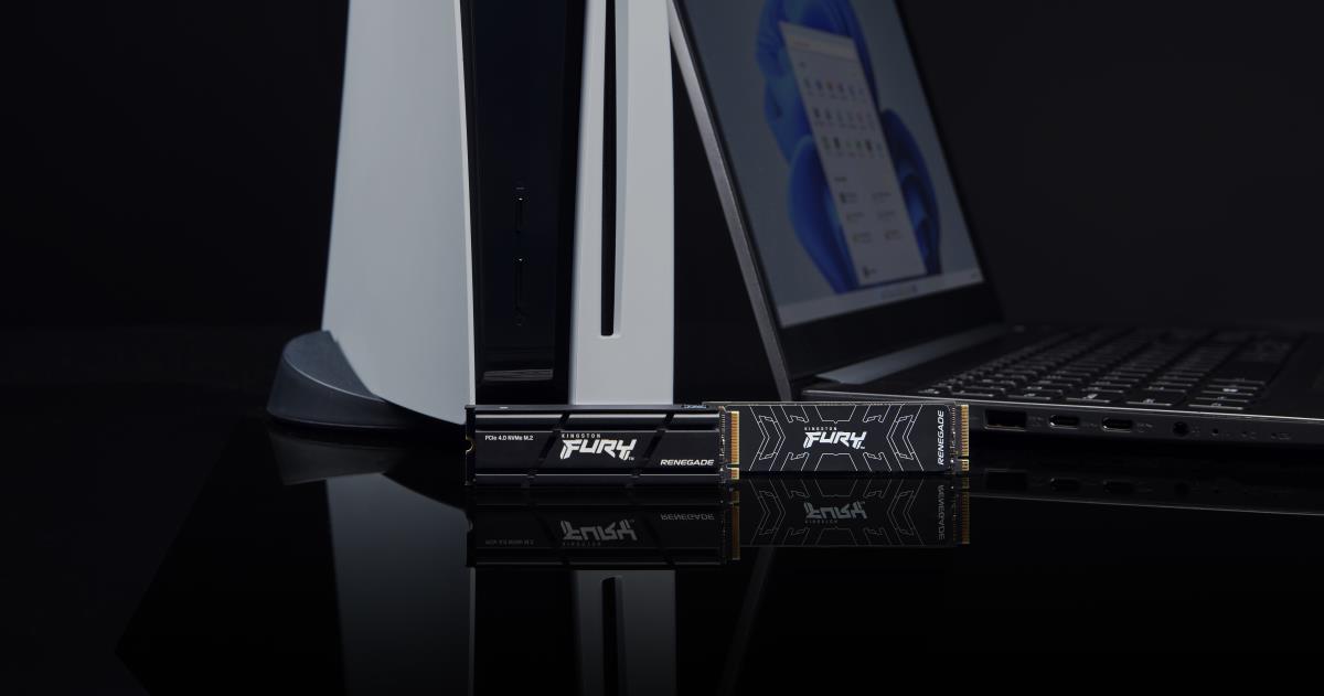 FURY RENEGADE SFYRSK/1000G - SSD - 1 TB thumbnail