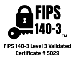EU Product - IronKey D500S FIPS - USB-Stick - 32 GB thumbnail