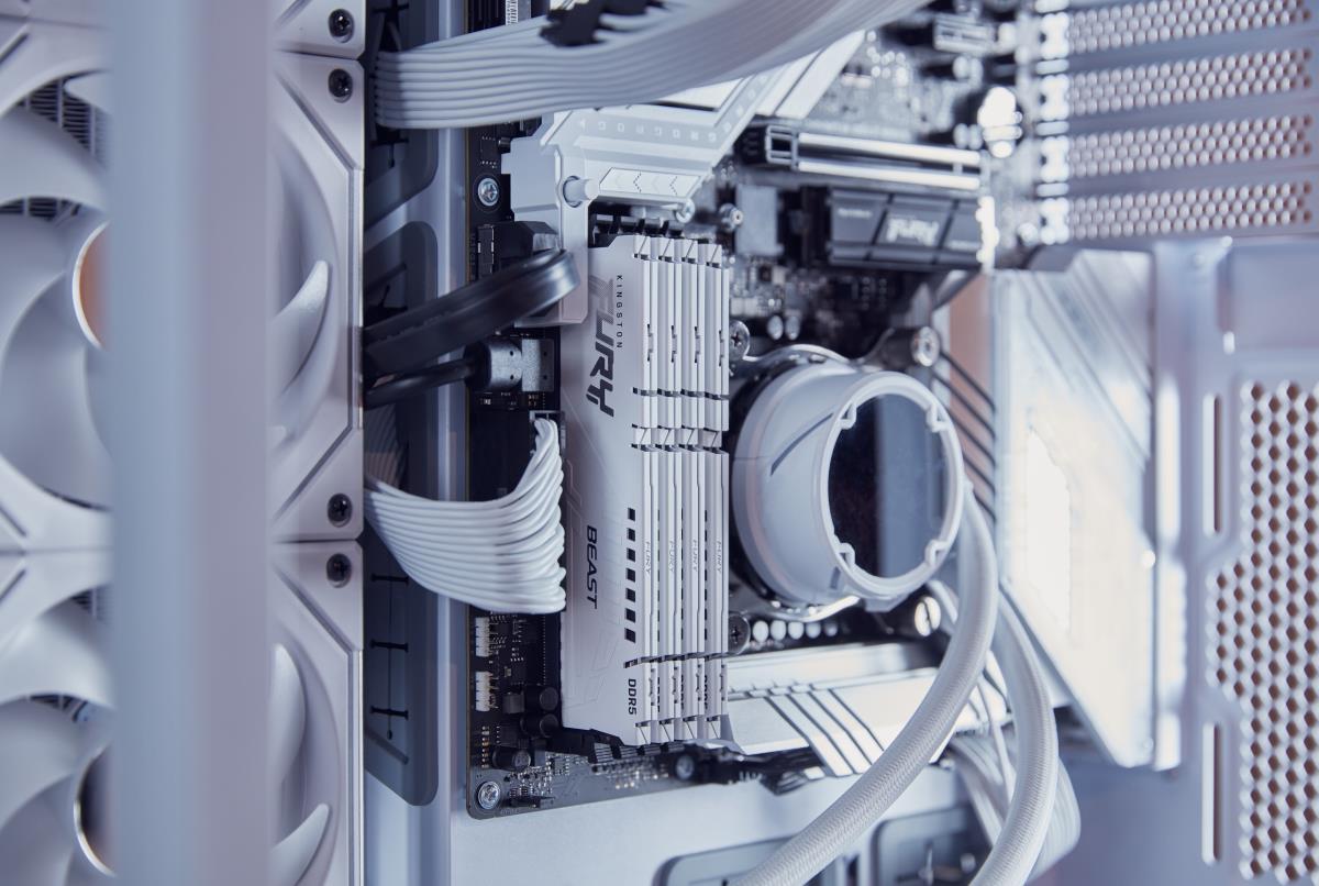 EU Product - Fury Beast 6000Mt/s Cl36 Dimm - 32 GB - DDR5 thumbnail