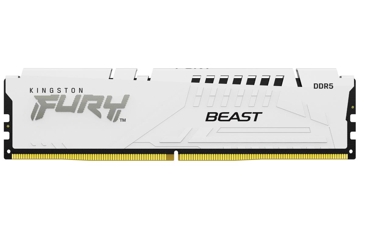 EU Product - Fury Beast 6000Mt/s Cl36 Dimm - 32 GB - DDR5 thumbnail