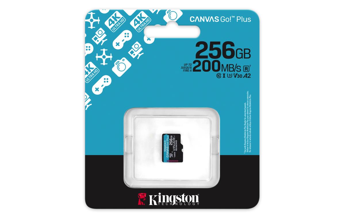 EU Product - 256G Microsdxc Cnvs Go thumbnail