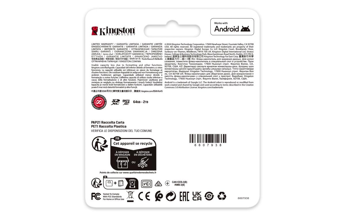 Flash-Card Canvas Go! Plus - SDXC UHS-I - 256 GB thumbnail