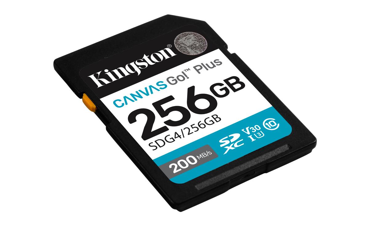 Flash-Card Canvas Go! Plus - SDXC UHS-I - 256 GB thumbnail