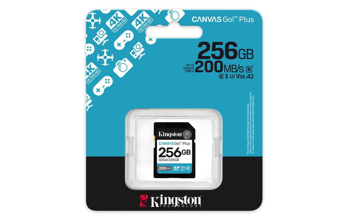 Flash-Card Canvas Go! Plus - SDXC UHS-I - 256 GB thumbnail