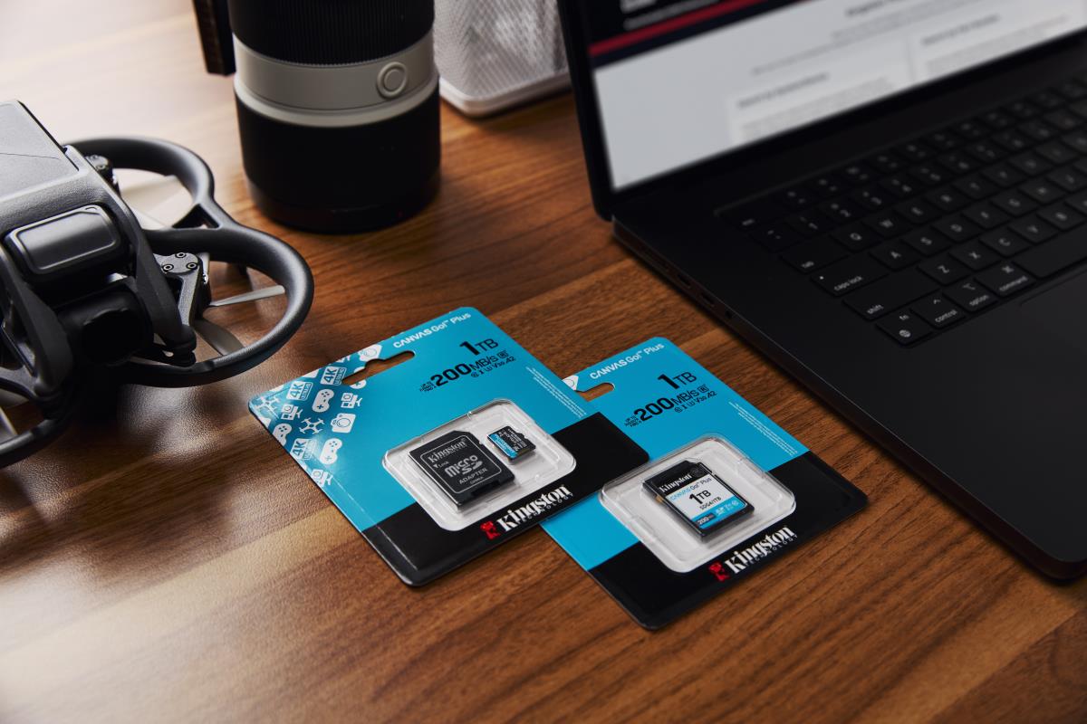 Canvas Go! Plus Gen4 1TB SDXC thumbnail