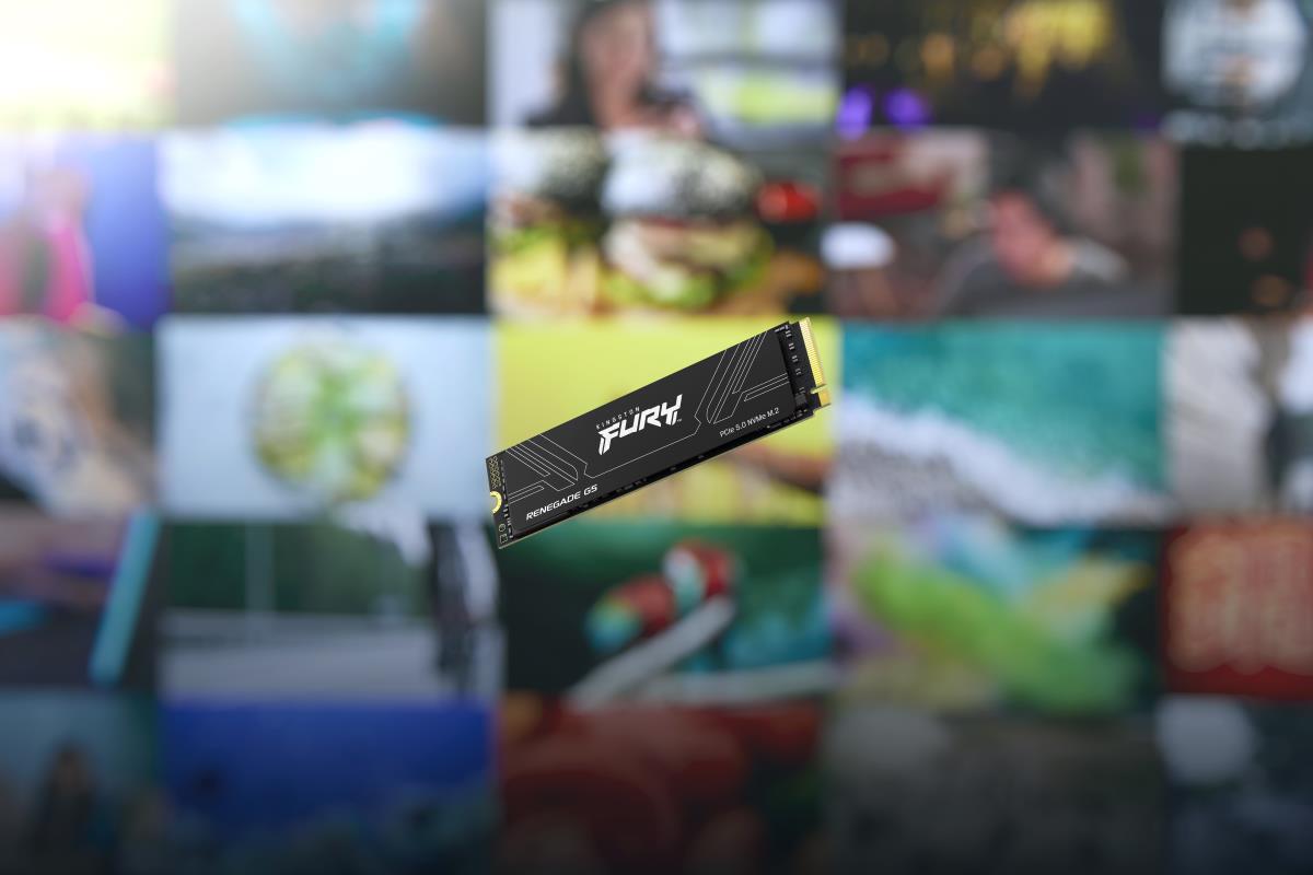 4TB FURY RENEGADE G5 SSD thumbnail