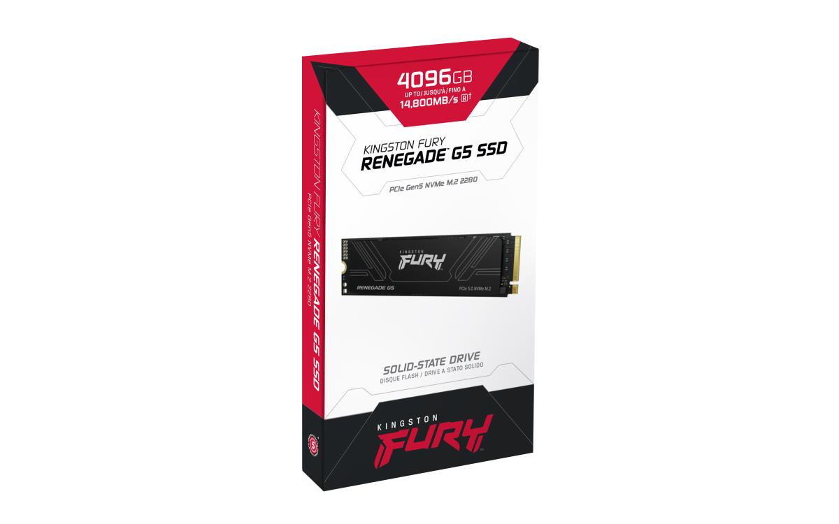4TB FURY RENEGADE G5 SSD thumbnail