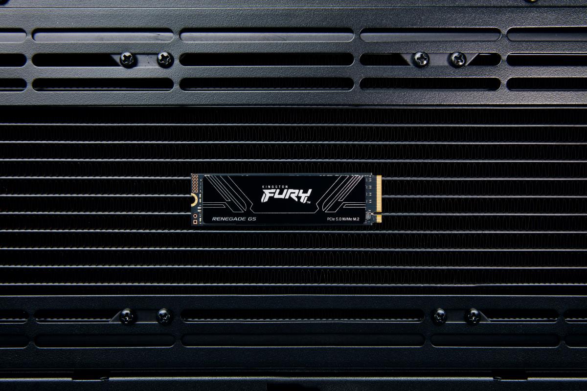 4TB FURY RENEGADE G5 SSD thumbnail