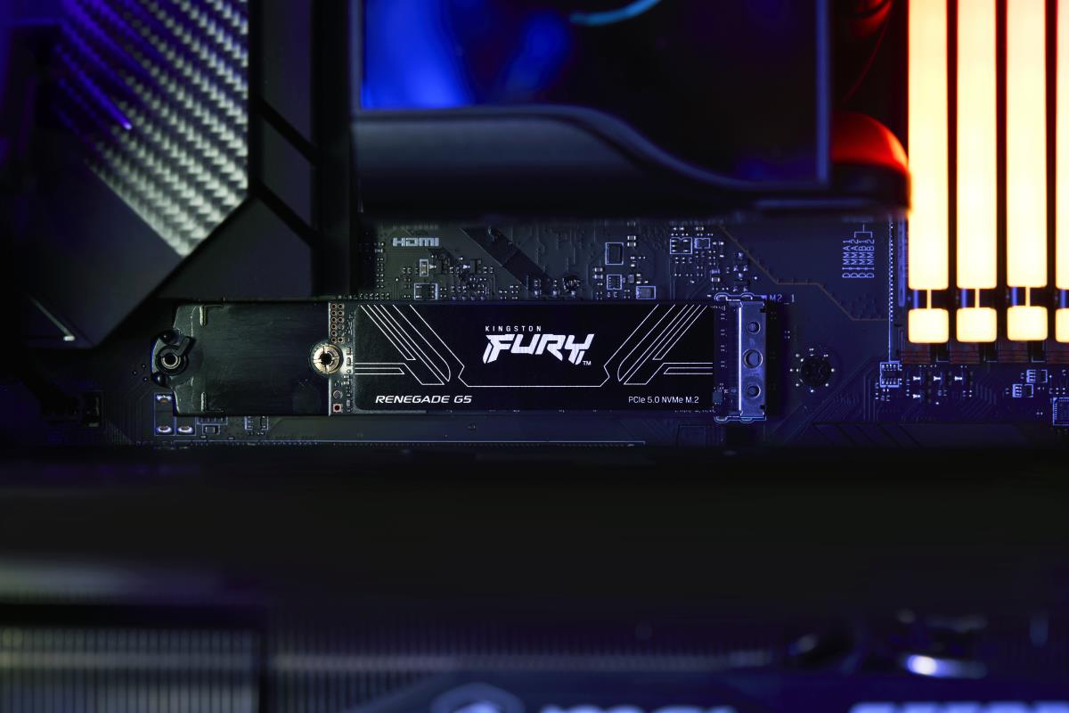 4TB FURY RENEGADE G5 SSD thumbnail