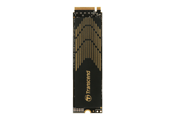 EU Product - 240S - SSD - 500 GB - intern - M.2 2280 (doppelseitig) thumbnail